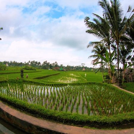 Vinarya Villa Ubud Zewnętrze zdjęcie